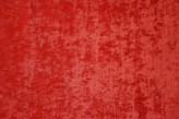 Coquelicot