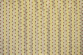 Champagne Praline