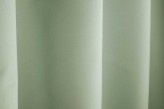 Menthe glaciale