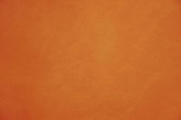 Ambre