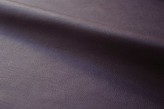 Aubergine