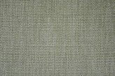 Verveine