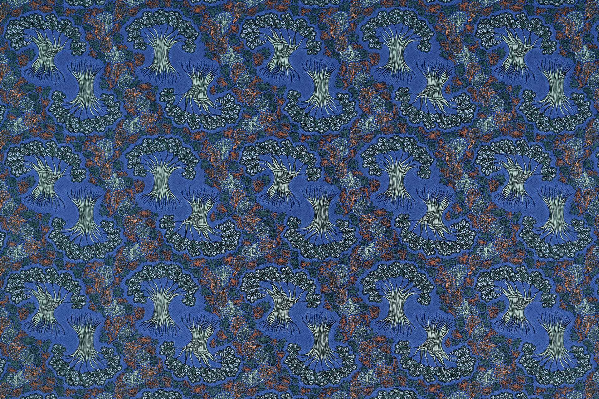 Image To Zoom