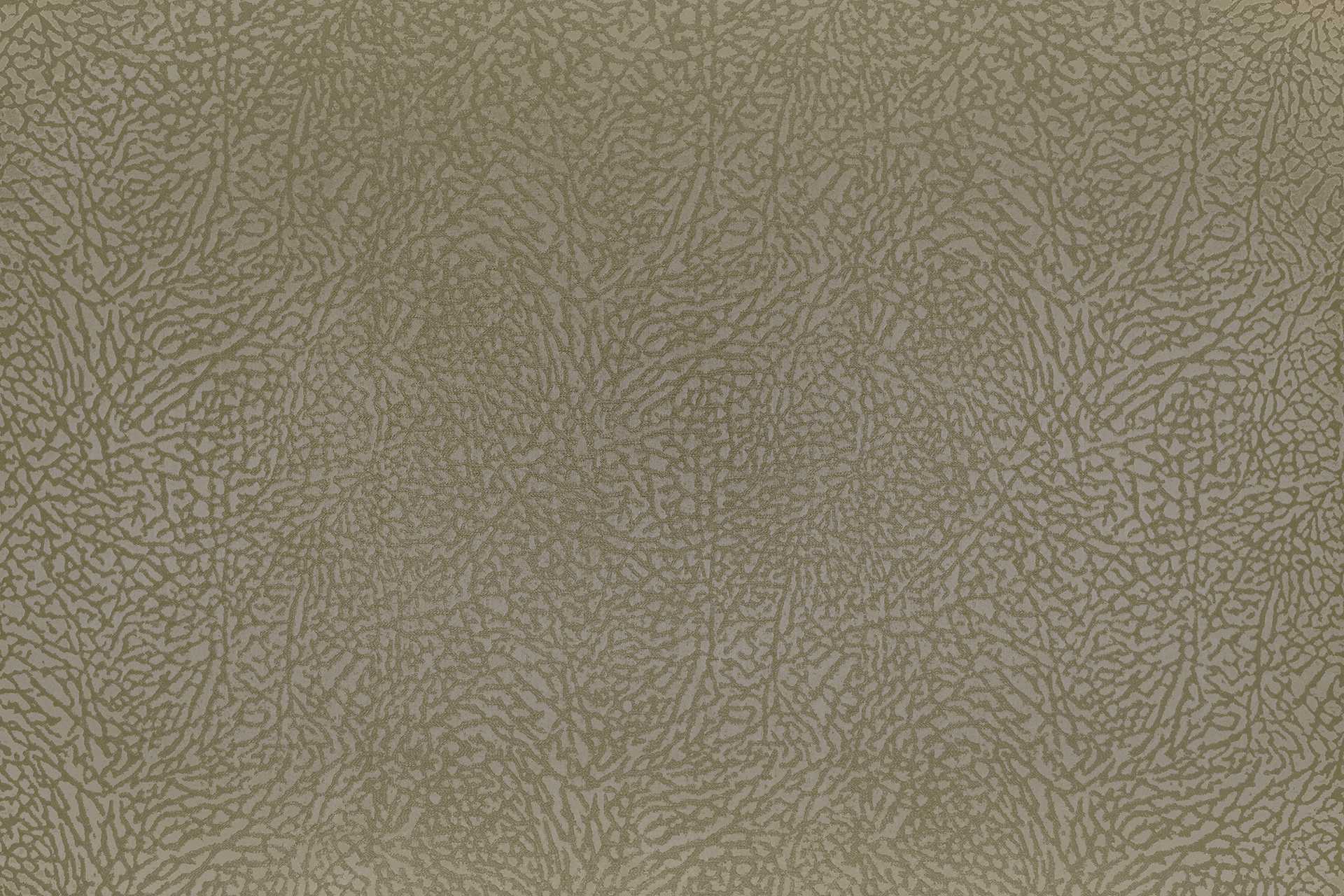 Image To Zoom