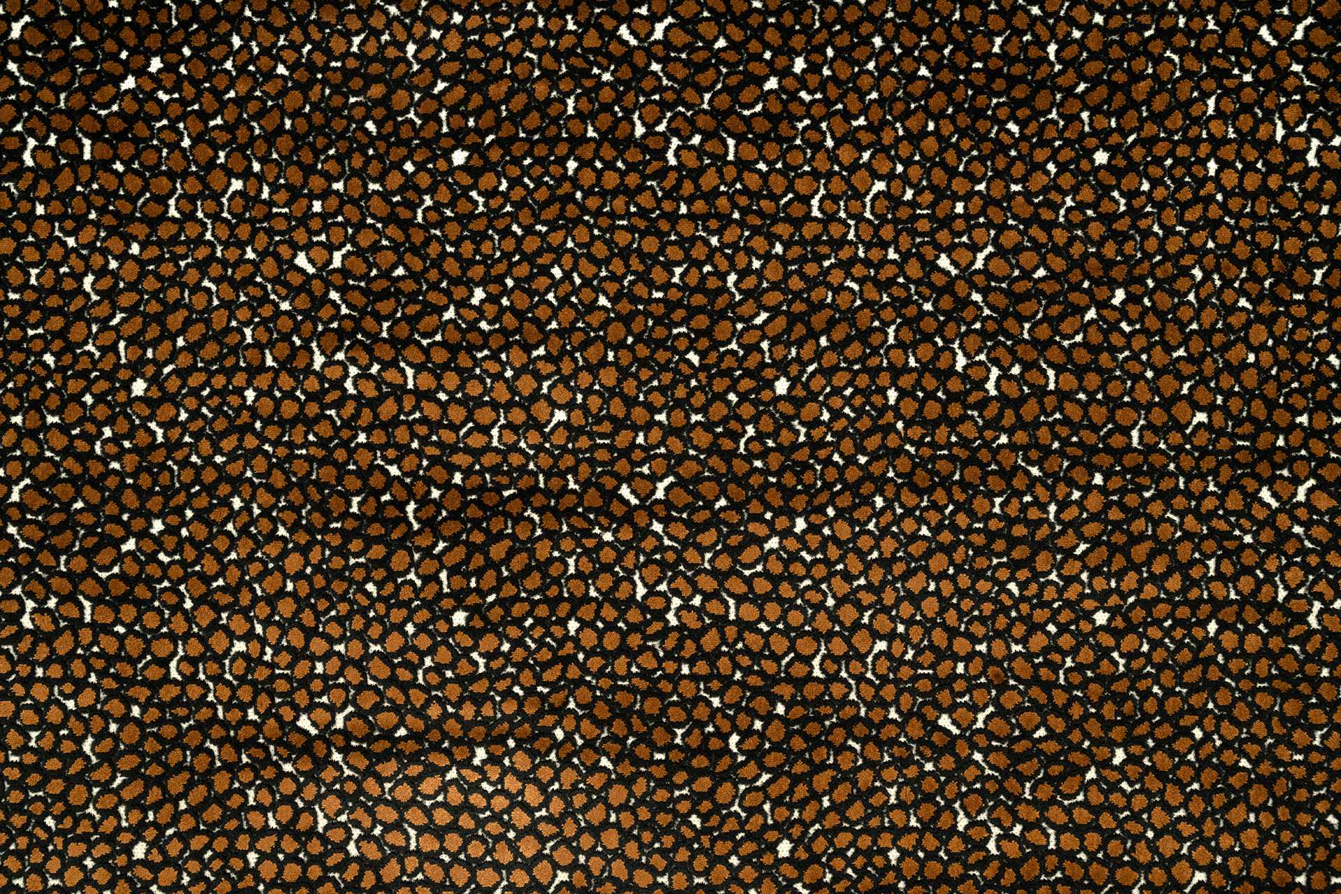 Image To Zoom