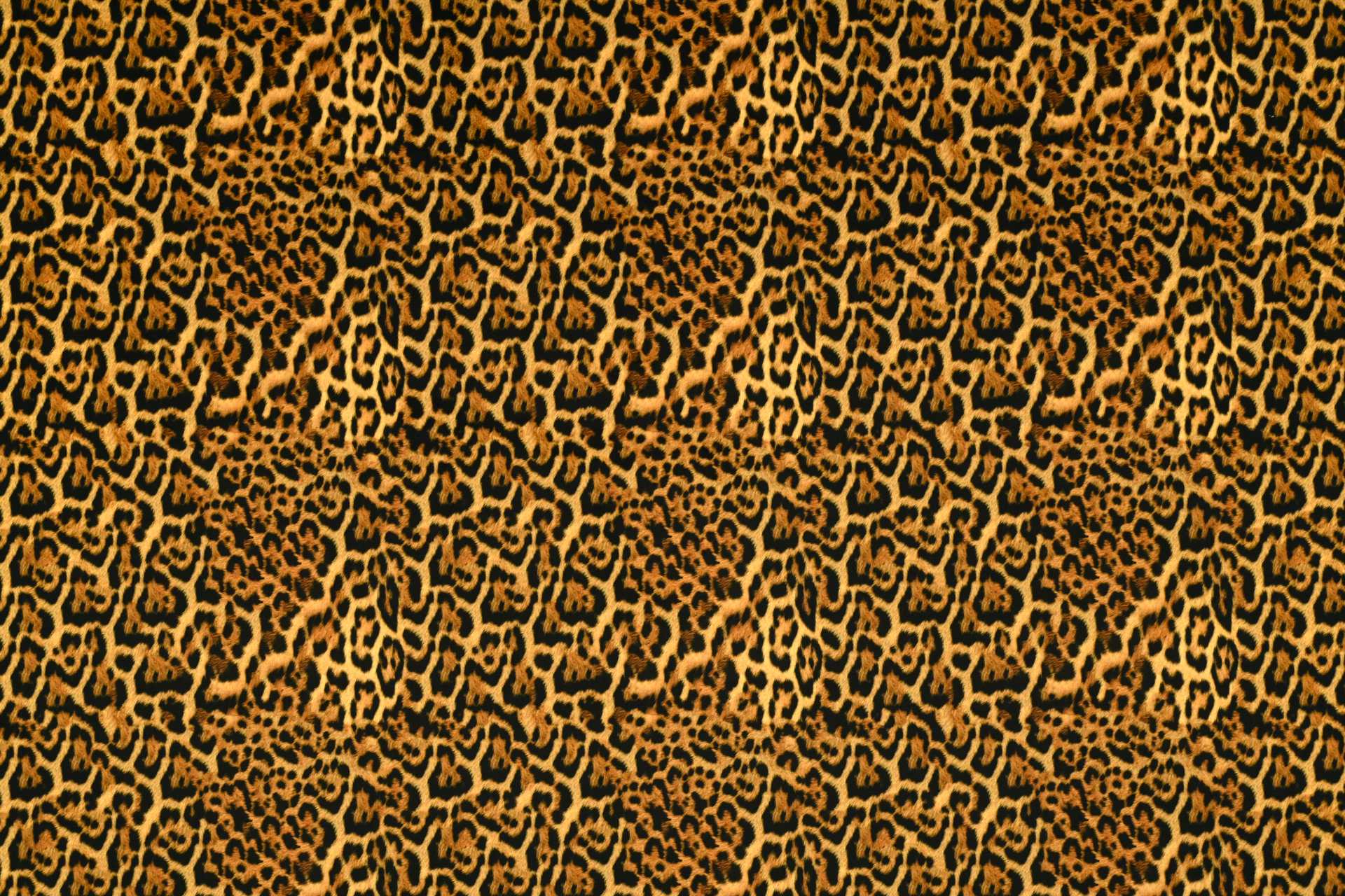 Image To Zoom