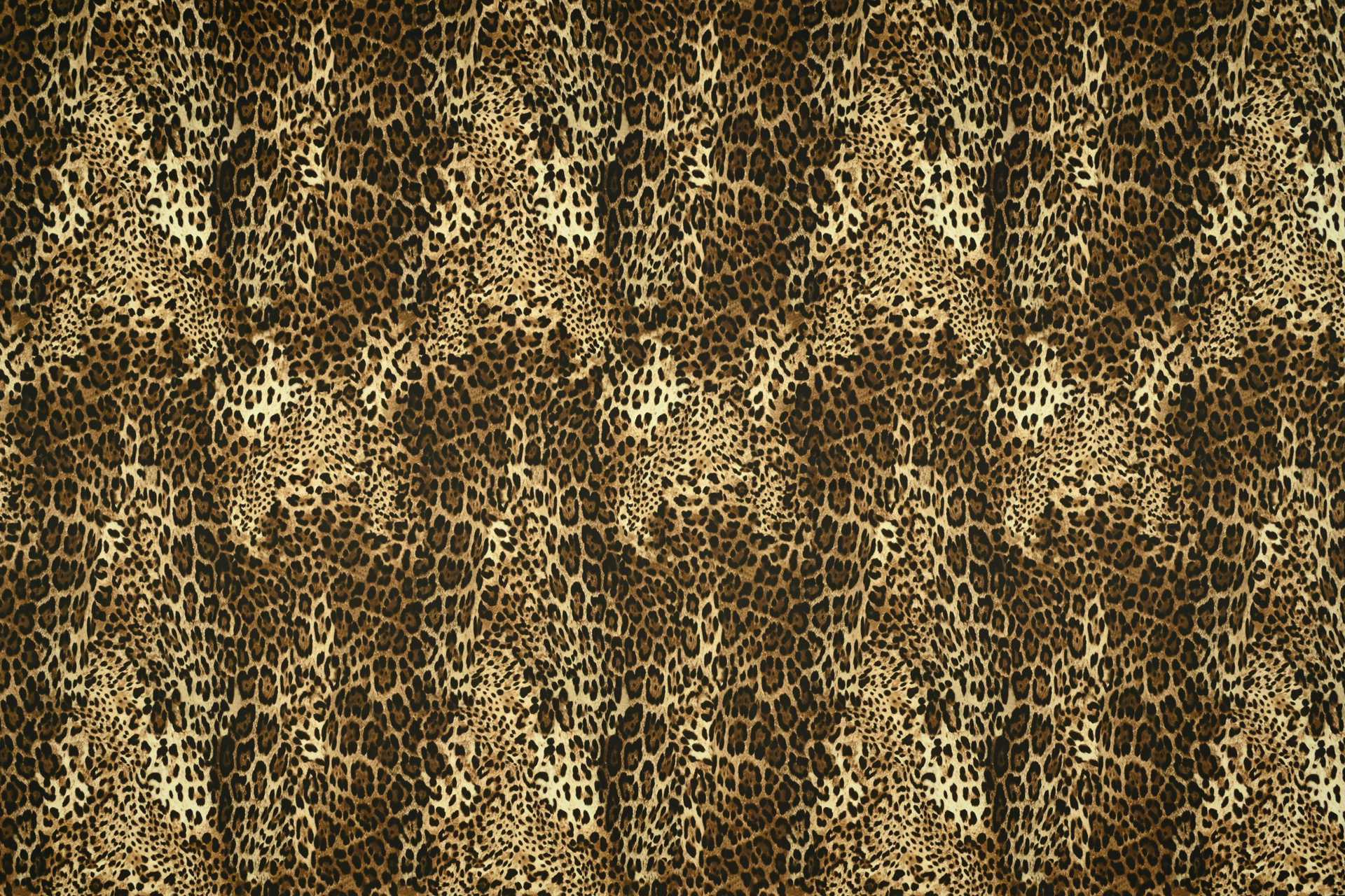 Image To Zoom