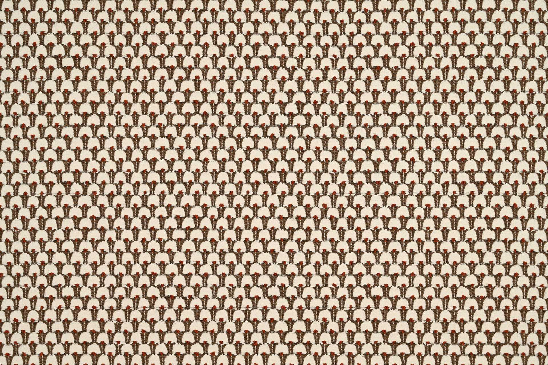 Image To Zoom
