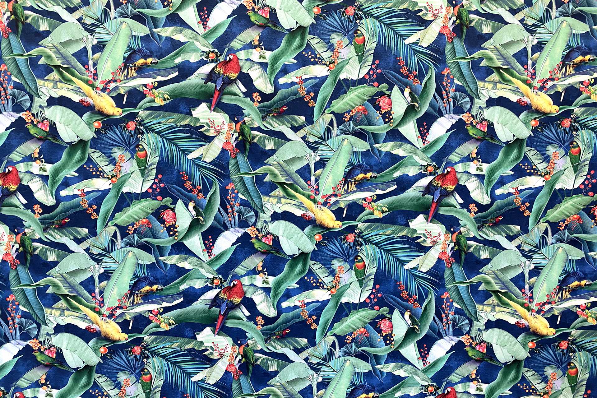 Image To Zoom