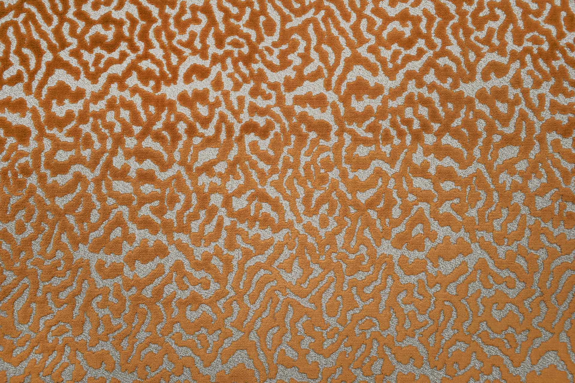 Image To Zoom