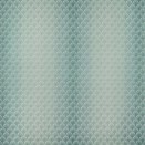 ELISABETTA - LM19572