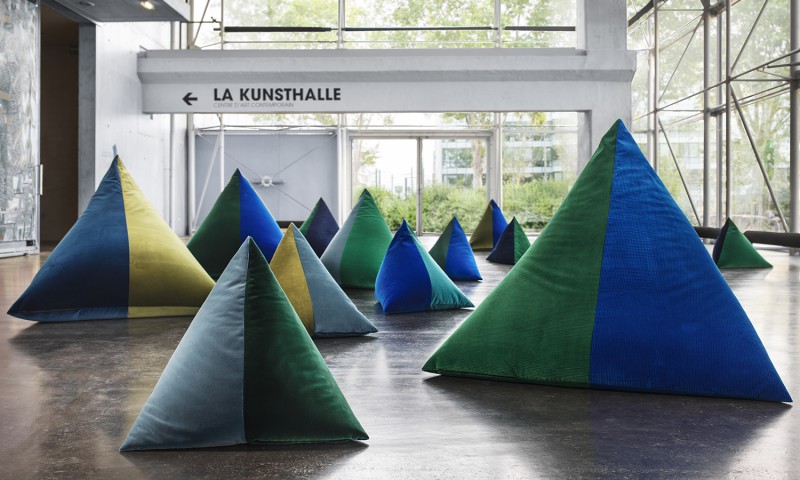 FLEURS DE COTON - 369885 - 