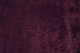 Aubergine