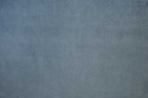 Bleuet