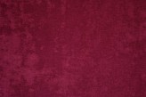 Cerise
