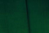 Chlorophylle