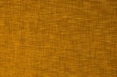 Ambre