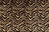 Savane