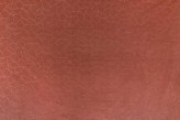 Rouille