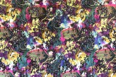 Multicolore