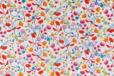 Multicolore