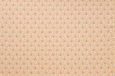 Paille Praline