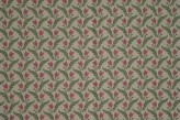 Coton Fuchsia