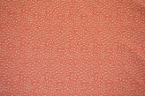 Sisal
