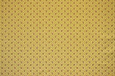 Champagne Praline