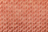 Corail