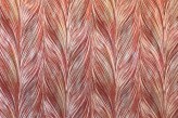 Corail