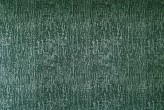 Eucalyptus