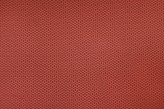 Sanguine