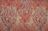 Corail