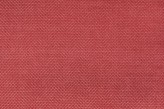 Sorbet Framboise
