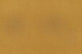 Jaune d'Or