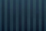 Nautilus