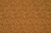 Savane