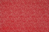 Corail