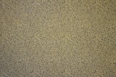 Taupe Paille