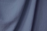 Bleuet