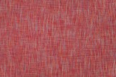 Baies Rouges