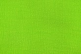 Vert Fluo