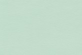 Menthe