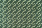 Eucalyptus