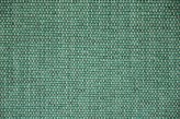 Menthe