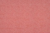 Coquelicot