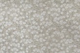 Coton