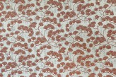 Corail