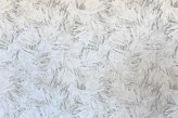 Coton